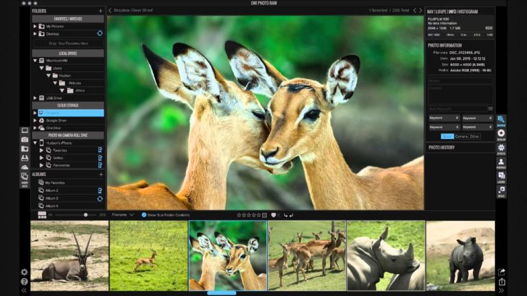 All-in-One RAW Processor and Photo Editor