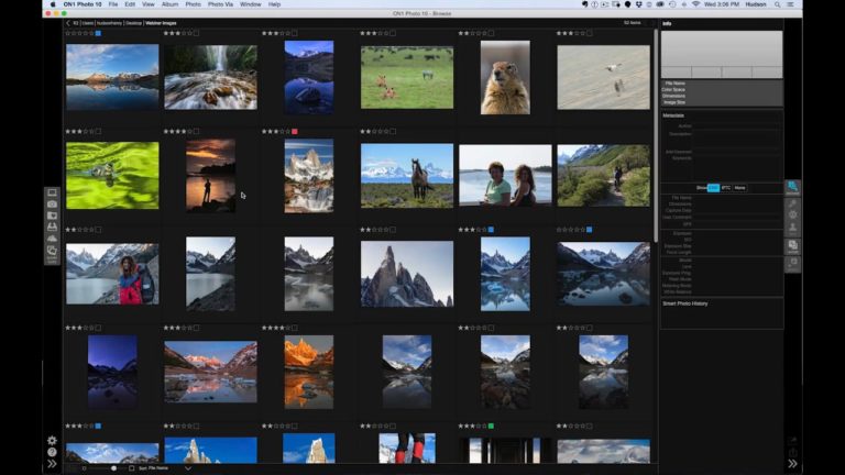 Live Q&A: Light & Composition