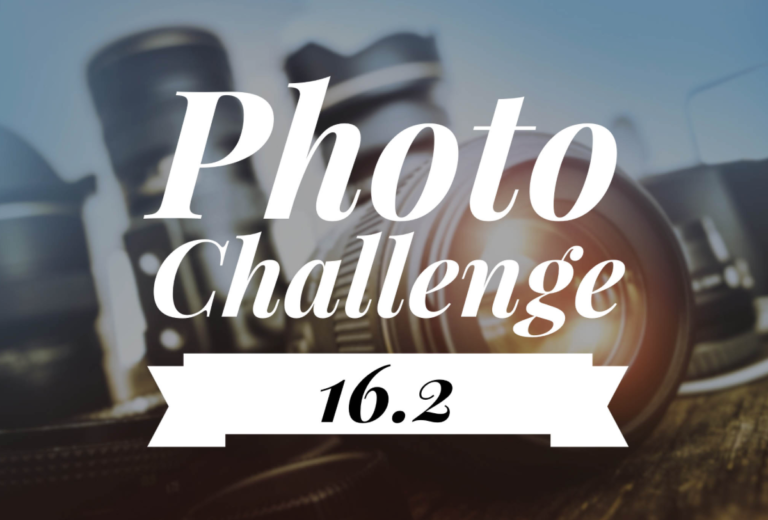 Vote! Your Favorite Photo Challenge for Matt and Hudson