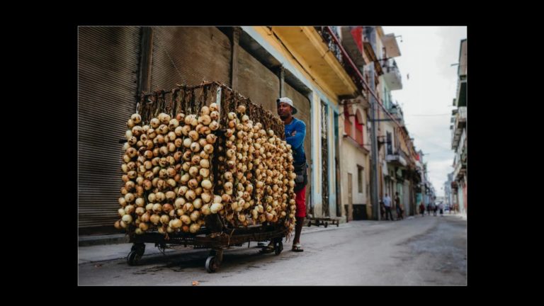 Live Q&A: At Home and Abroad – Telling Your Visual Story