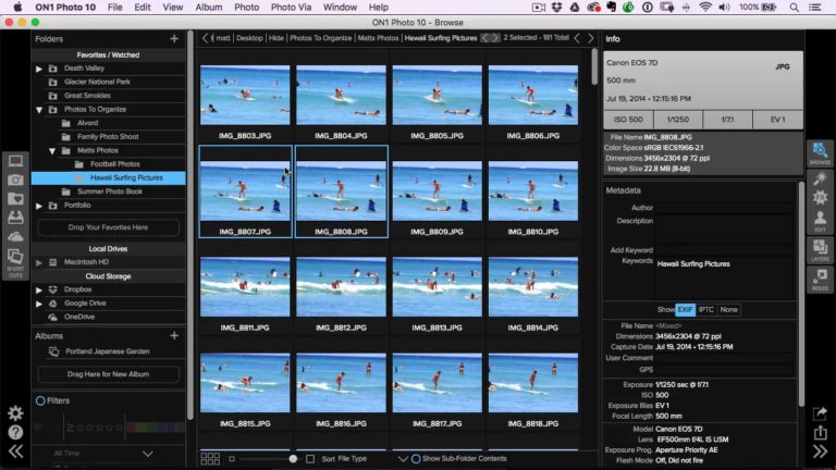 The Ins and Outs of Albums in Browse
