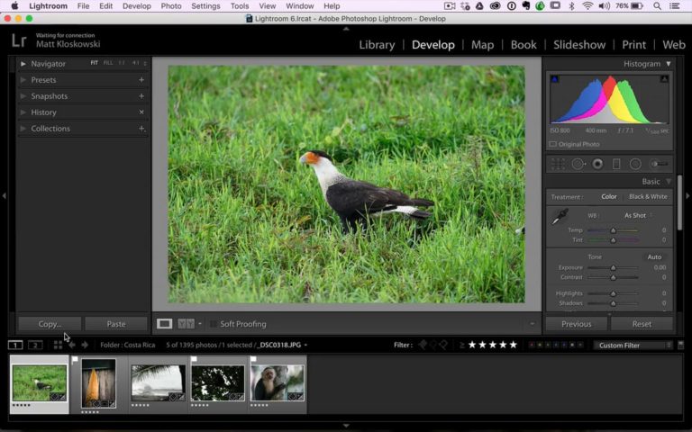 A Real Look At Some Differences Between RAW vs. JPEG