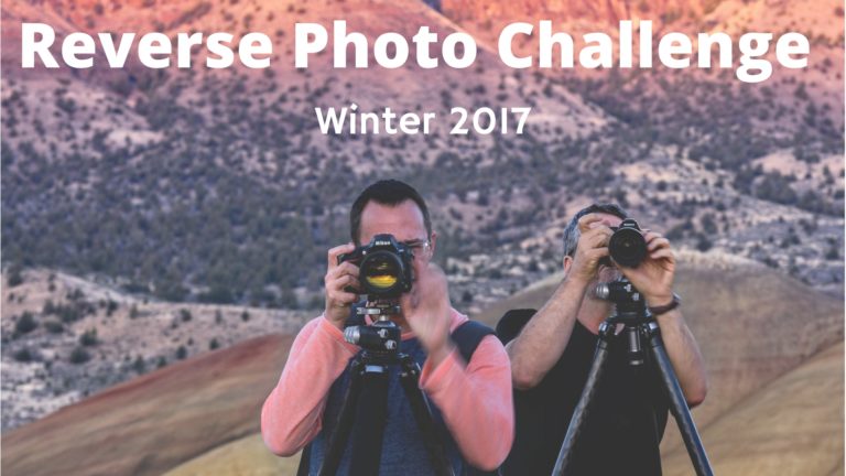 Reverse Photo Challenge: Vote to Choose Matt & Hudson's