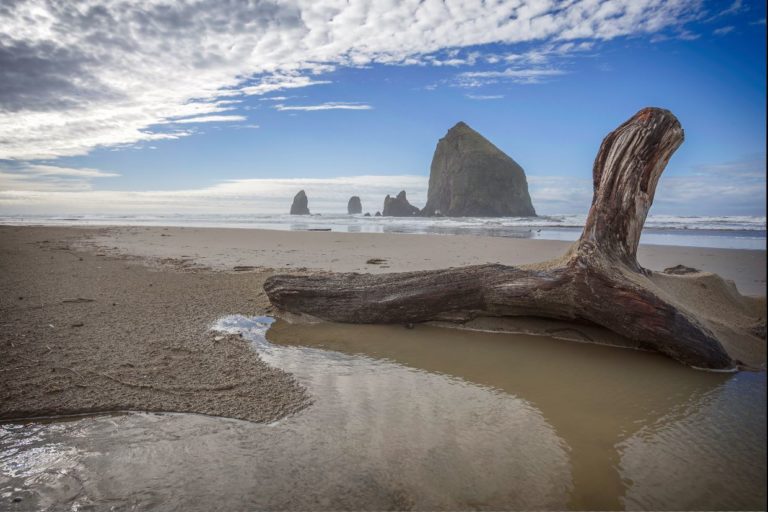 HDR Workflow with ACR and Photo RAW