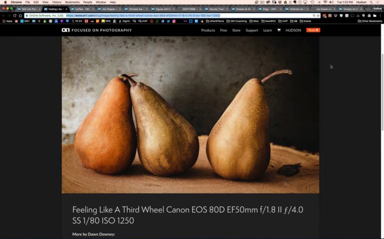 Still Life Photo Challenge Winners Video