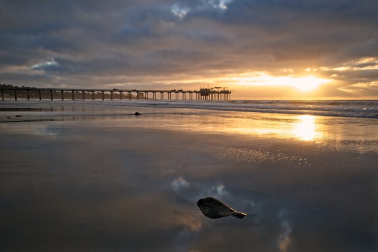 End-To-End Seascape Processing Workflow