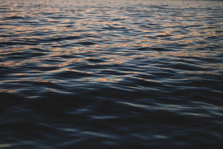 Videos Now Available: March 2017 "Water" Photo Critique