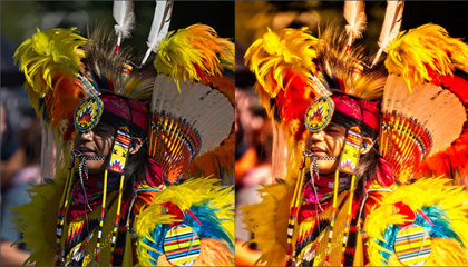Photomorphis Raw Color & Expression Sample Pack